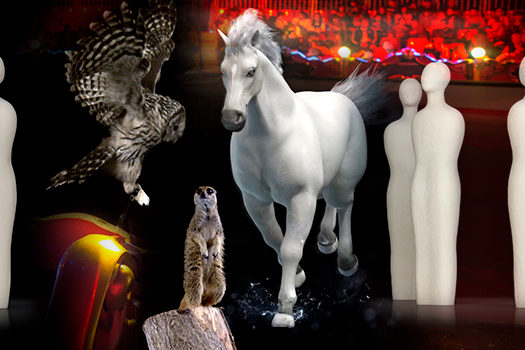 Creazione eventi olografici 3D